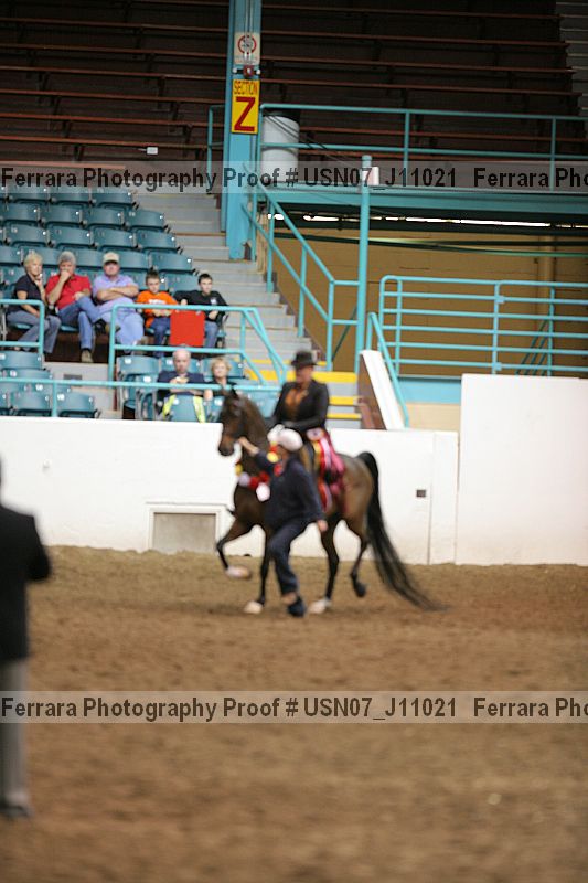 Proof Number usn07_j11021