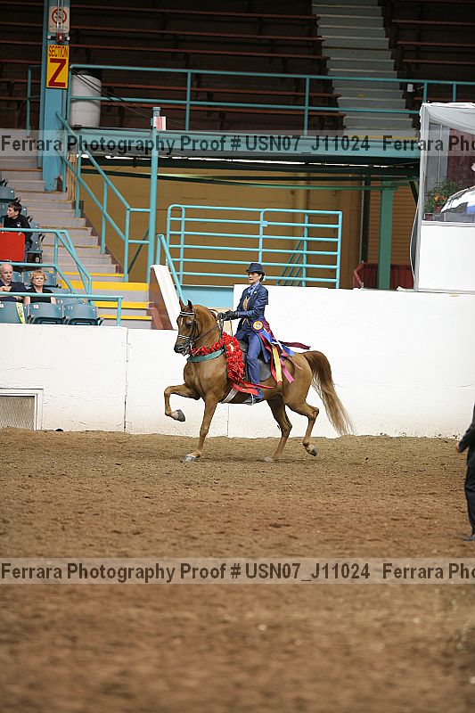 Proof Number usn07_j11024