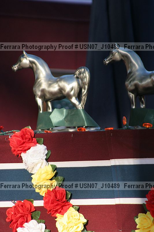 Proof Number usn07_j10489