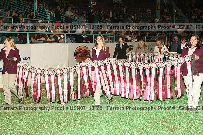 Proof Number usn07_13485
