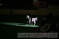 usn07_j13255 thumbnail