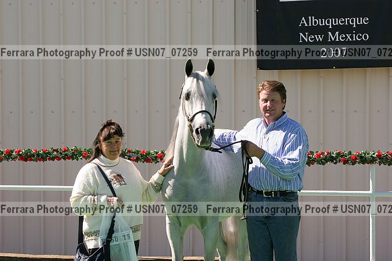 Proof Number usn07_07259