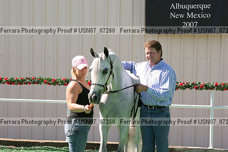 Proof Number usn07_07260