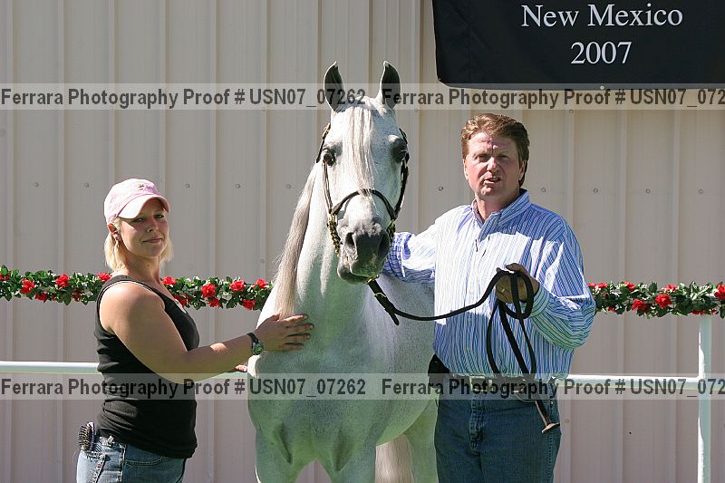 Proof Number usn07_07262