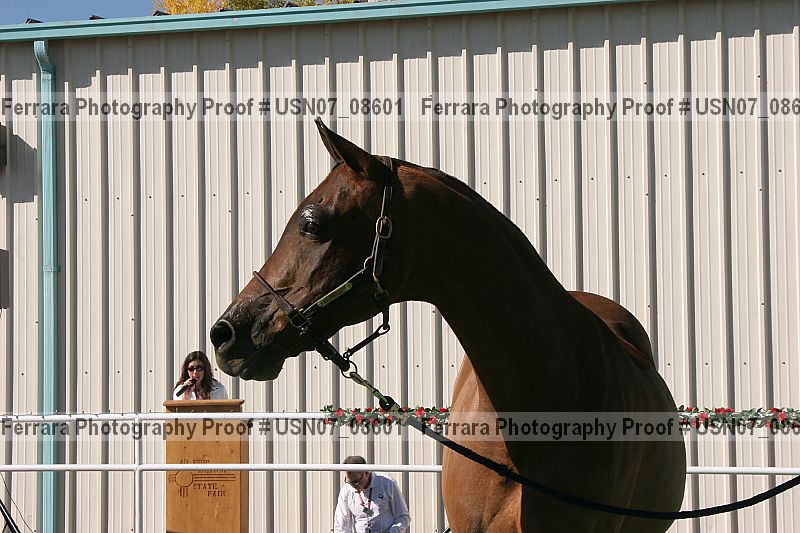 Proof Number usn07_08601