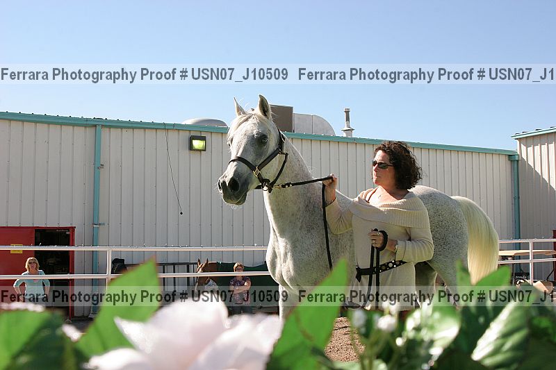 Proof Number usn07_j10509