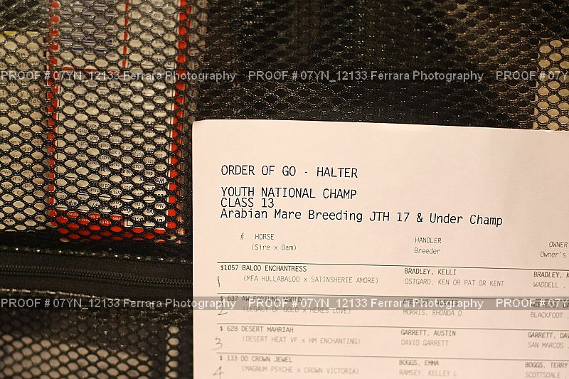 Proof Number 07YN_12133