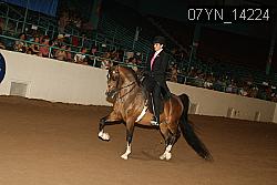 07YN_14224 thumbnail