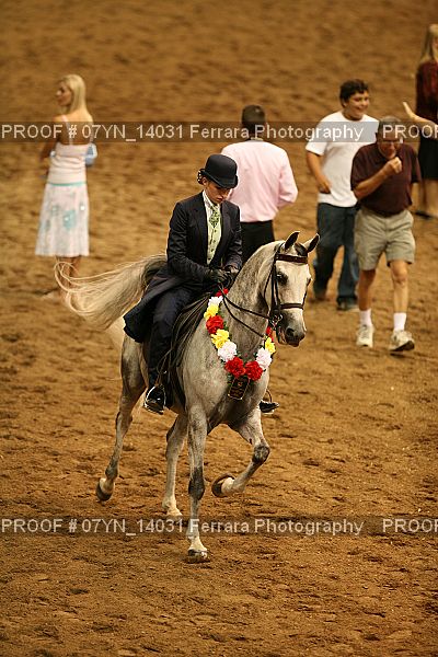 Proof Number 07YN_14031