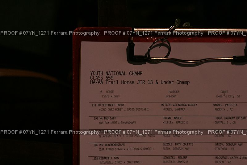 Proof Number 07YN_1271