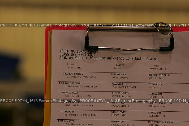 Proof Number 07YN_1613