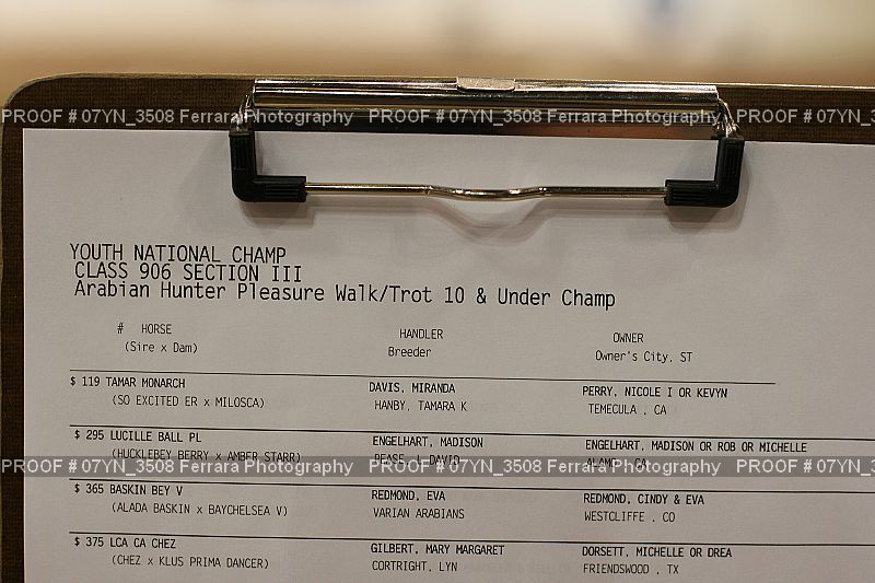 Proof Number 07YN_3508