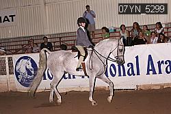 07YN_5299 thumbnail