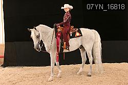 07YN_16818 thumbnail
