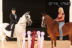 07YN_17947 thumbnail