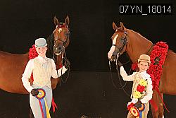 07YN_18014 thumbnail