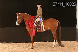 07YN_18026 thumbnail
