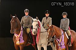 07YN_18318 thumbnail