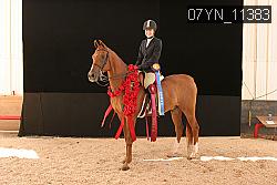 07YN_11383 thumbnail