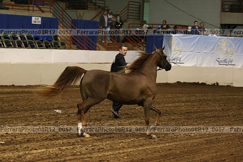 Proof Number 08r12_0057