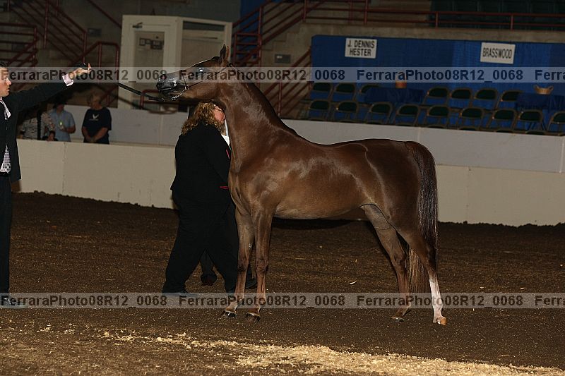 Proof Number 08r12_0068
