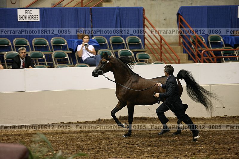 Proof Number 08r12_0085