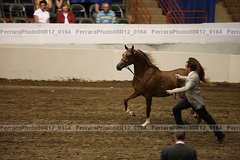 Proof Number 08r12_0164