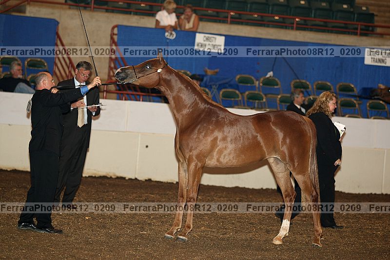 Proof Number 08r12_0209