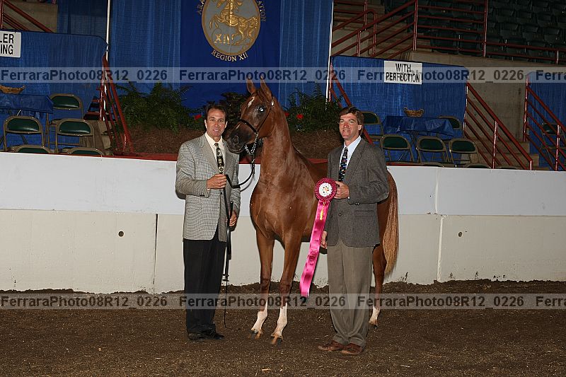 Proof Number 08r12_0226