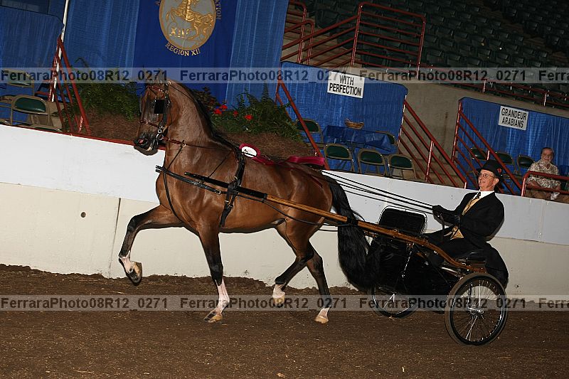 Proof Number 08r12_0271