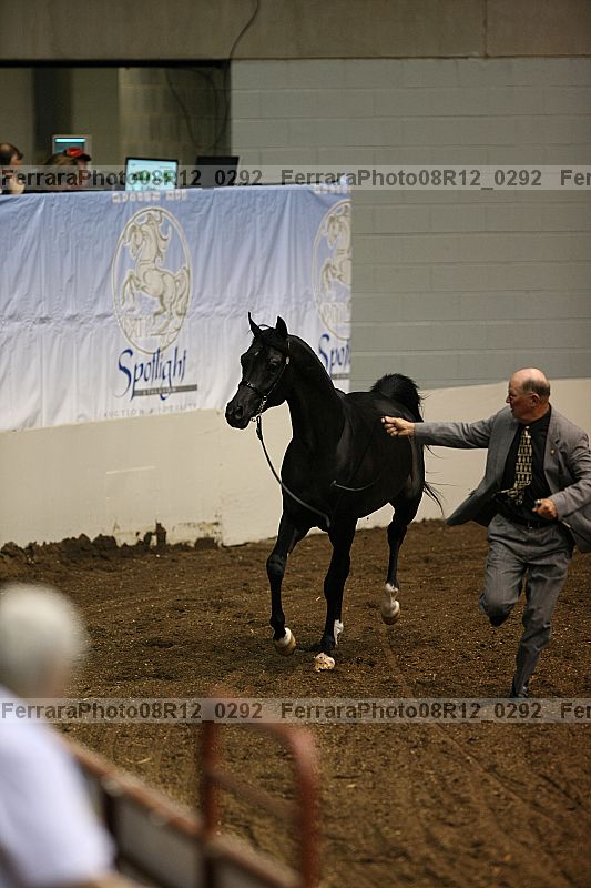 Proof Number 08r12_0292