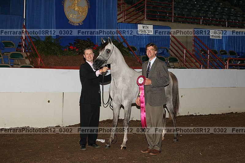 Proof Number 08r12_0302