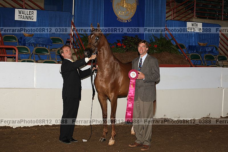 Proof Number 08r12_0388