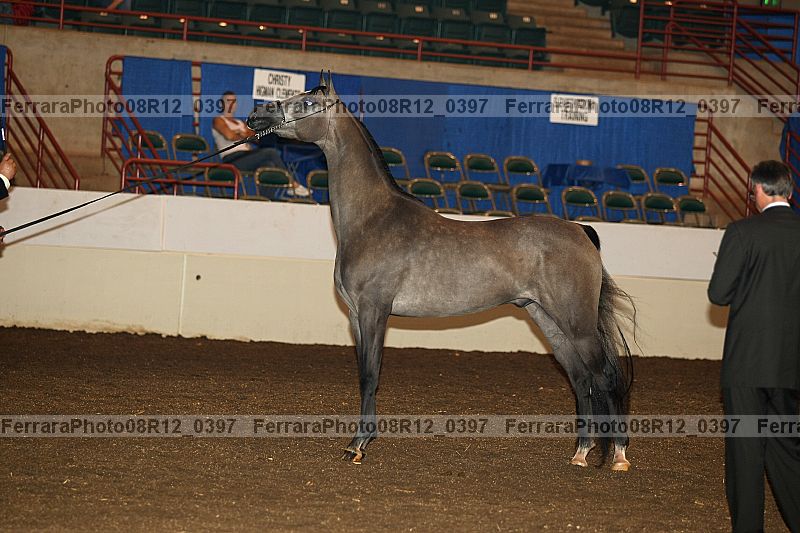 Proof Number 08r12_0397