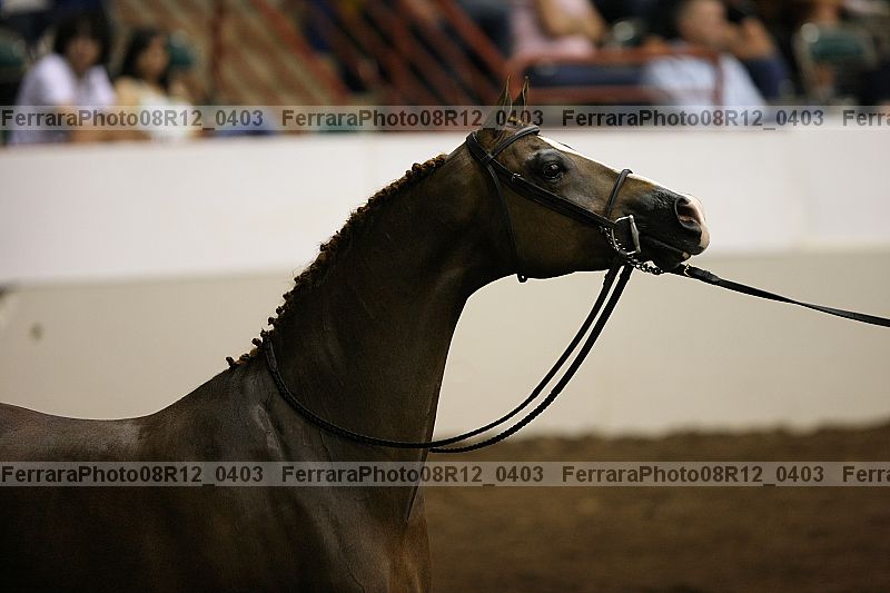 Proof Number 08r12_0403