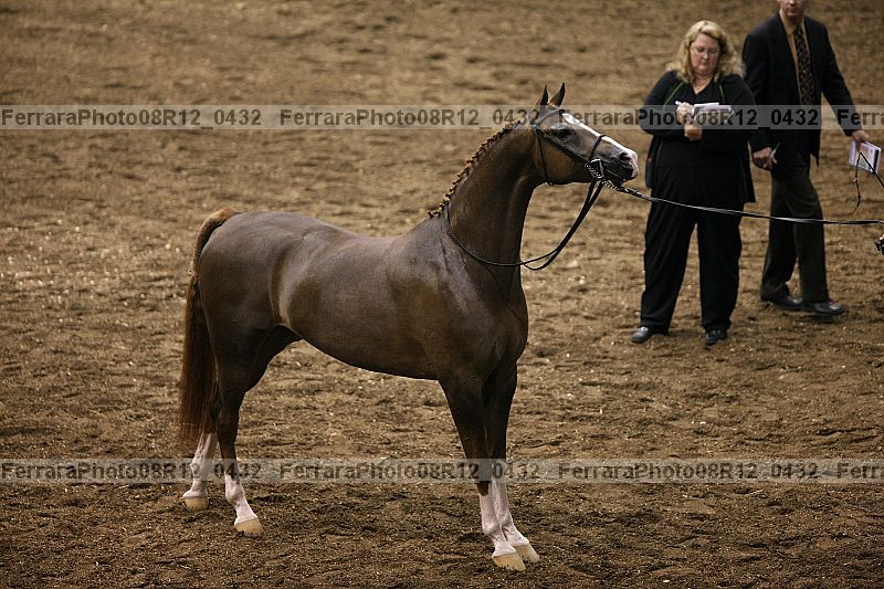 Proof Number 08r12_0432