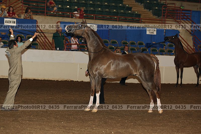 Proof Number 08r12_0435