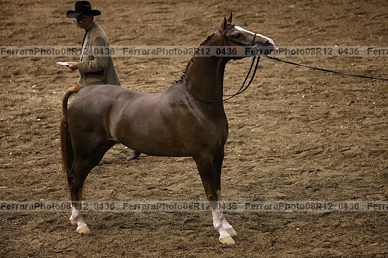 Proof Number 08r12_0436