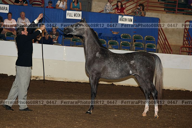 Proof Number 08r12_0447