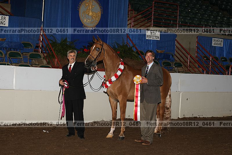 Proof Number 08r12_0461