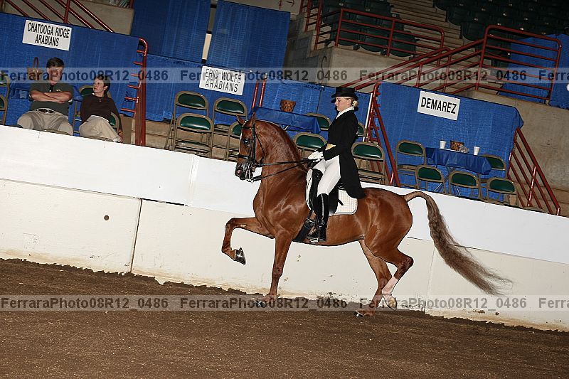 Proof Number 08r12_0486