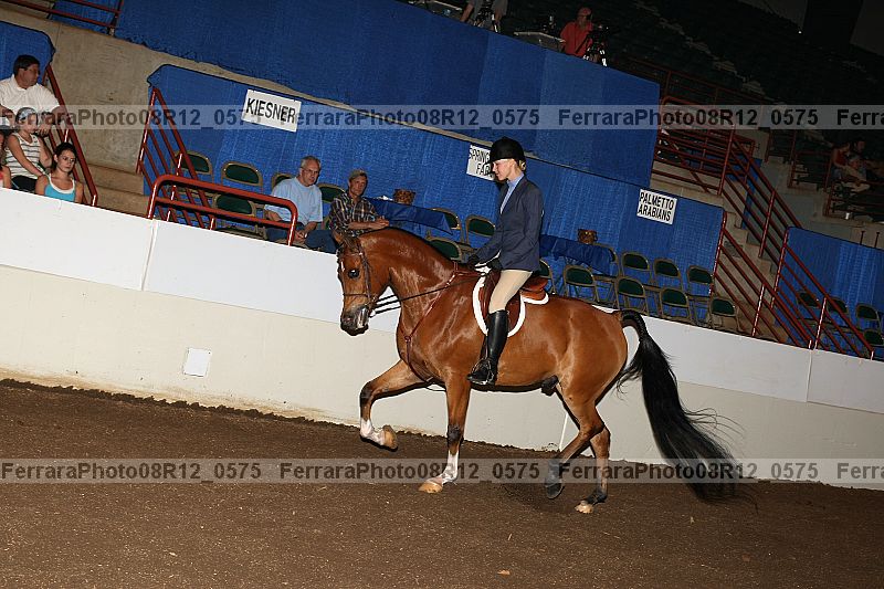 Proof Number 08r12_0575