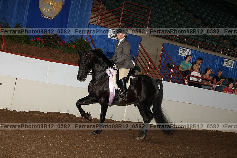Proof Number 08r12_0582
