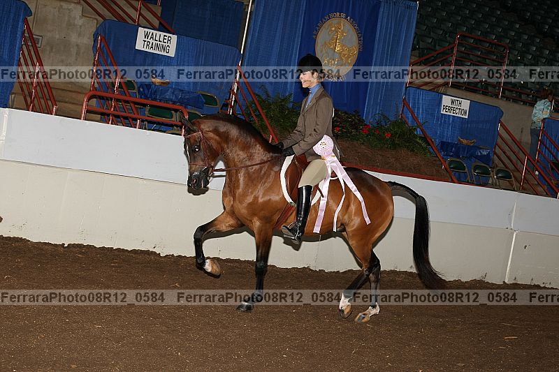 Proof Number 08r12_0584