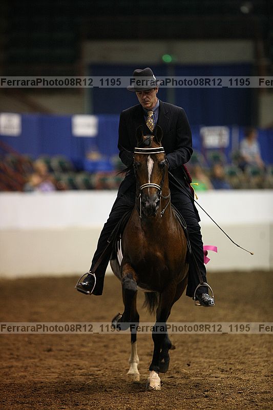 Proof Number 08r12_1195