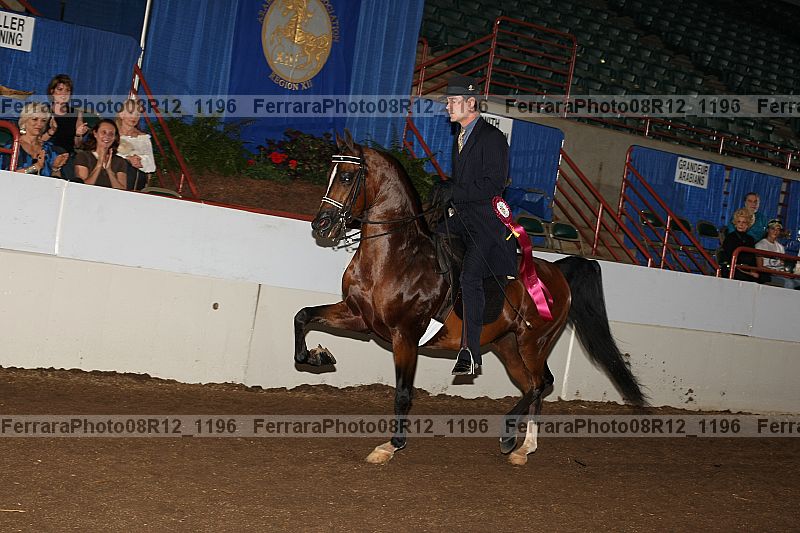Proof Number 08r12_1196