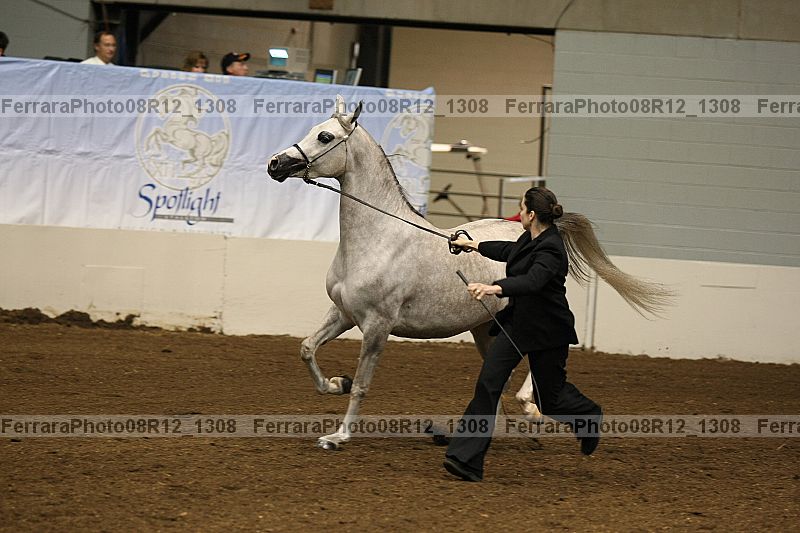 Proof Number 08r12_1308