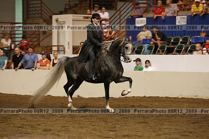 Proof Number 08r12_2889