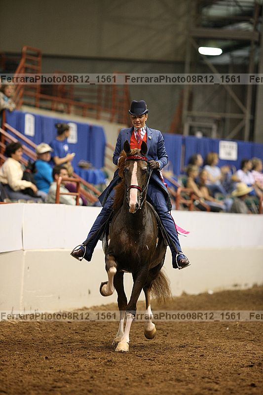 Proof Number 08r12_1561