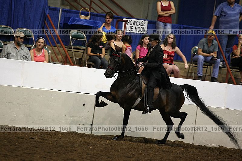 Proof Number 08r12_1666